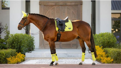 Dressurmatte für Pferde LeMieux Loire Classic – Bild 1 von 7