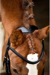 Produktbild von Dressurreittrense aus veganem Leder Montar Normandie ECO