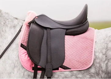 Produktbild von Dressursattel für Pferde Edix Saddles Zyba S