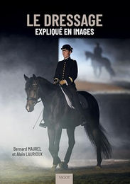 Dressurtraining erklärt in Bildern Vigot – Bild 1 von 3