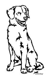 Produktbild von Duck Tolling Retriever Grafiklizenz