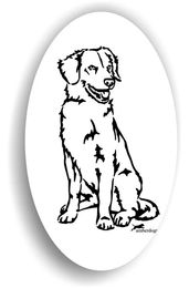 Produktbild von Duck Tolling Retriever Sticker Aufkleber
