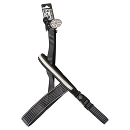 Produktbild von Duvo+ Geschirr City Paris LED Nylon schwarz XXL