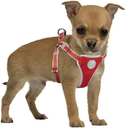 Produktbild von DUVO+ Hunde-Leuchtgeschirr mit Leine Flashlight rot