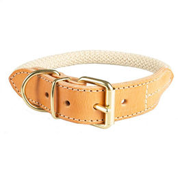 Produktbild von Duvo+ Hundehalsband Forest beige Größe M
