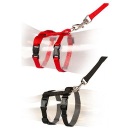 Produktbild von Duvo+ Katzen-Spazierset Uni