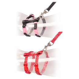 Produktbild von DUVO+ Katzengeschirr-Spazierset mit Leine