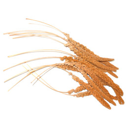 Produktbild von Duvo+ Kolbenhirse französisch rot - 17 kg
