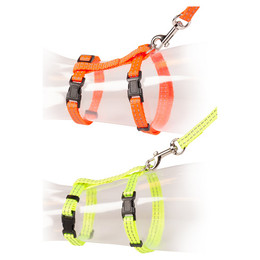 Produktbild von DUVO+ Reflektierendes Katzen-Spazierset Uni groß neonfarben