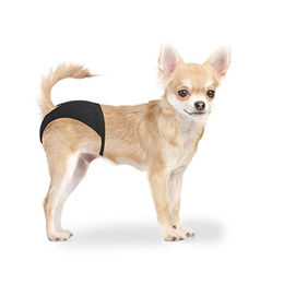 Produktbild von Duvo+ Schutzhose für Hunde