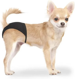 Produktbild von Duvo+ Schutzhose für läufige Hündinnen