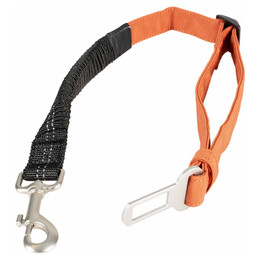 Produktbild von Duvo+ Sicherheitsgurt Trail 2-in-1 orange