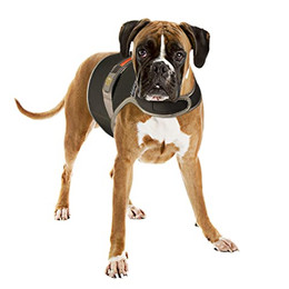 Produktbild von Duvo+ Sicherheitsmantel Fluo Flash USB schwarz Größe L