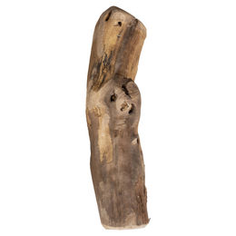 Produktbild von Duvo+ Weinrebe eco Kauartikel für Hunde XL