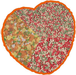 Produktbild von duvoplus Mix für Teichfische 3-in-1 - 5 l