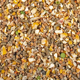 Produktbild von duvoplus Ponte-Körnung - 20 kg