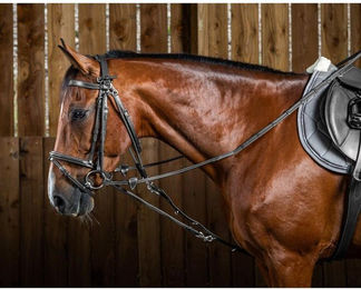 Produktbild von Dy'on Gogue Nylon Hilfszügel