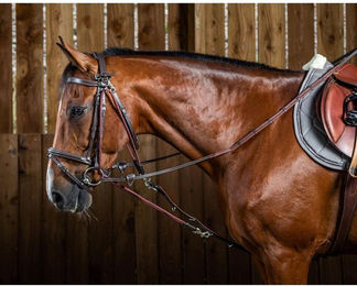 Produktbild von Dy'on Gogue Nylon Hilfszügel