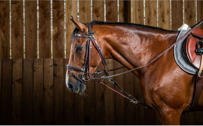 Produktbild von Dy'on Gogue Nylon Hilfszügel