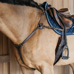 Produktbild von Dyon 5-Punkt Vorderzeug mit Elastikeinsatz NEC