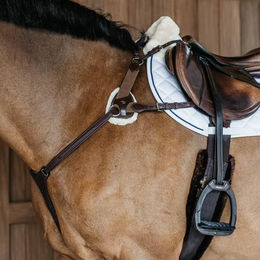 Produktbild von Dyon 5Punkt Vorderzeug mit Elastikeinsatz NEC