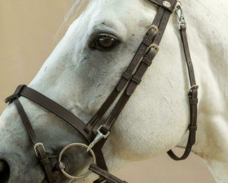 Produktbild von Dyon Backenstücke Working by Dyon