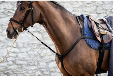 Produktbild von Dyon DCollection Standing Martingal Anhang