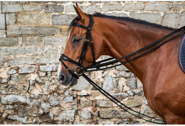 Produktbild von Dyon DCollection Vollleder Schlaufzügel 13mm