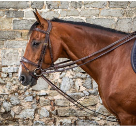 Produktbild von Dyon DCollection Vollleder Schlaufzügel 13mm