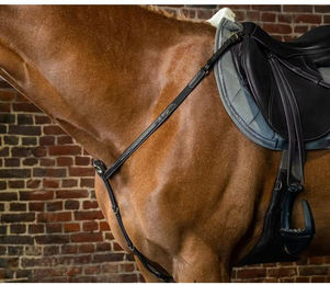 Produktbild von Dyon DCollection Vorderzeug