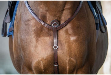 Produktbild von Dyon DCollection Vorderzeug