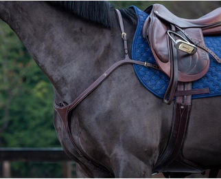 Produktbild von Dyon DCollection Vorderzeug Long Bridge