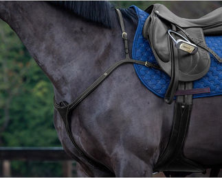 Produktbild von Dyon DCollection Vorderzeug Long Bridge