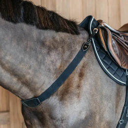 Produktbild von Dyon elastische Vorderzeug NEC