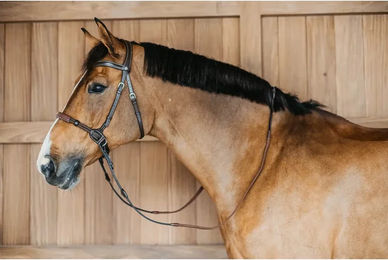 Produktbild von Dyon gebisslose Trense