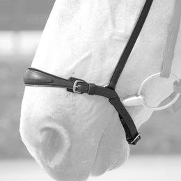 Produktbild von Dyon Hannoveraner Reithalfter EdelstahlBeschläge