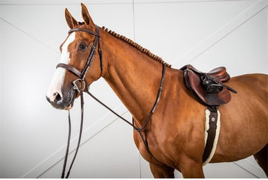 Produktbild von Dyon Hunter Collection festes Martingal