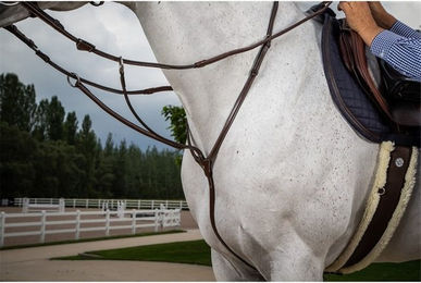 Produktbild von Dyon Hunter Collection Martingal