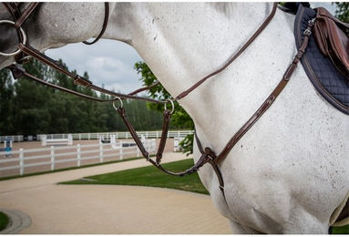 Produktbild von Dyon Hunter Collection Martingalgabel