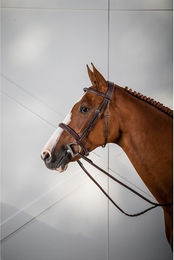 Produktbild von Dyon Hunter Collection Trense mit breitem Nasenriemen