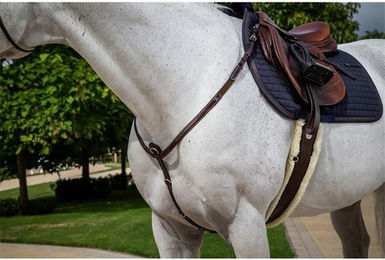 Produktbild von Dyon Hunter Collection Vorderzeug