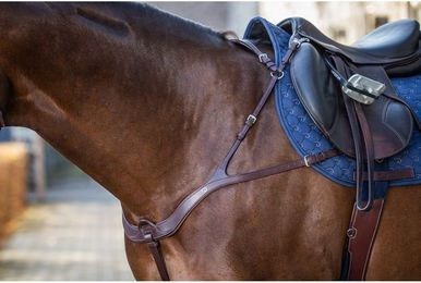 Produktbild von Dyon New English Collection anatomisches Vorderzeug