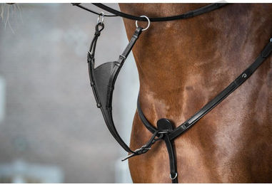 Produktbild von Dyon New English Collection Martingalgabel geschlossen soft