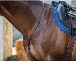 Produktbild von Dyon New English Collection Martingalriemen