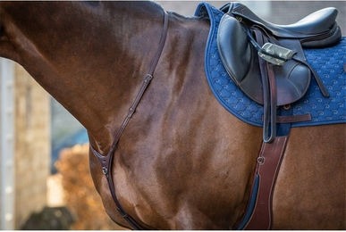 Produktbild von Dyon New English Collection Martingalriemen