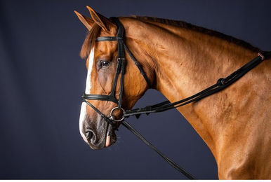 Produktbild von Dyon New English Collection Schlaufzügel aus Leder u. Nylon