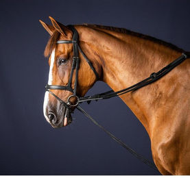 Produktbild von Dyon New English Collection Schlaufzügel aus Leder und Nylon