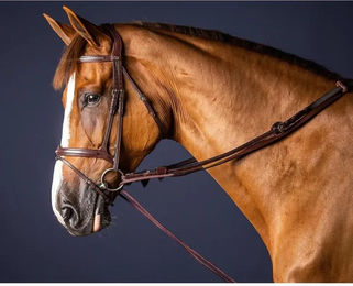 Produktbild von Dyon New English Collection Schlaufzügel aus Leder und Nylon