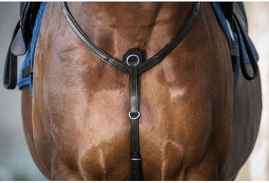 Produktbild von Dyon New English Collection Vorderzeug