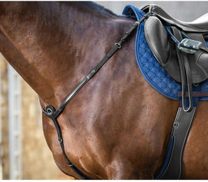 Produktbild von Dyon New English Collection Vorderzeug